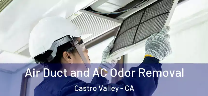  Air Duct and AC Odor Removal Castro Valley - CA
