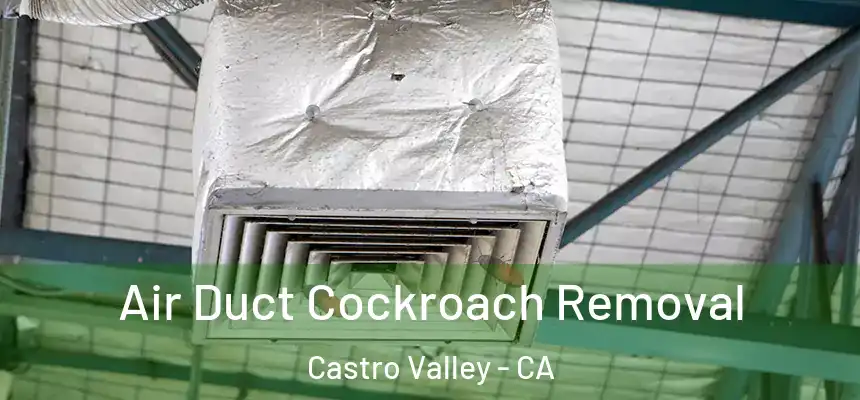  Air Duct Cockroach Removal Castro Valley - CA