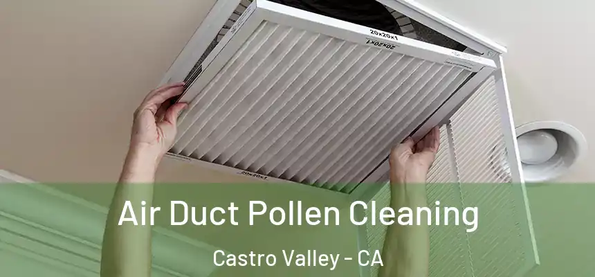  Air Duct Pollen Cleaning Castro Valley - CA