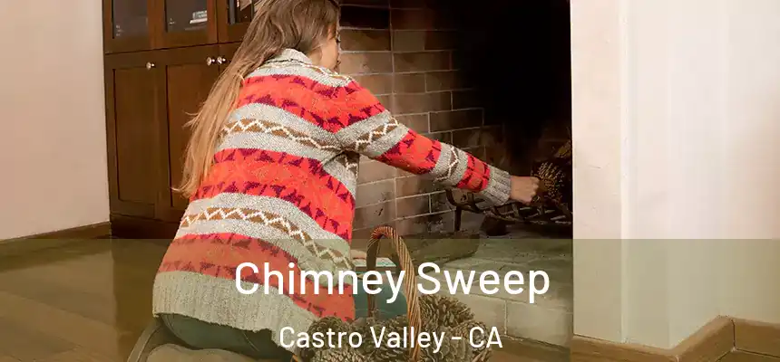  Chimney Sweep Castro Valley - CA