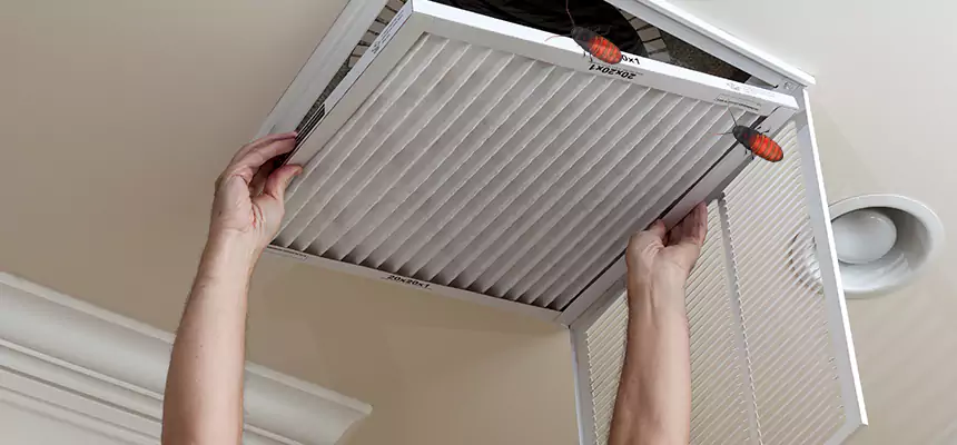 Preventive Cockroach-Proofing for Ducts in Castro Valley