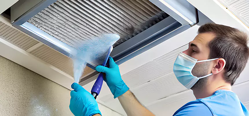 Proactive Dryer Vent & Auxiliary Duct Pollen Cleanup in Castro Valley, CA