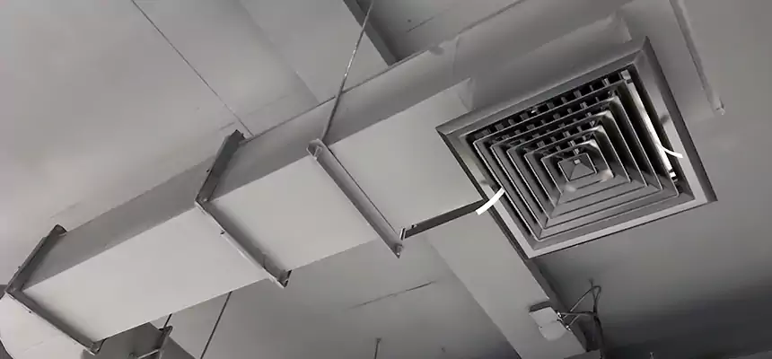 Our Pest Removal From Ducts Services in Castro Valley, CA