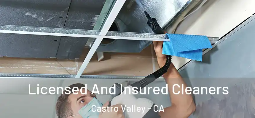 Licensed And Insured Cleaners Castro Valley - CA