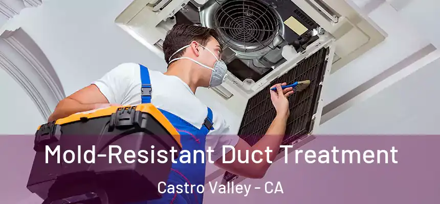 Mold-Resistant Duct Treatment Castro Valley - CA