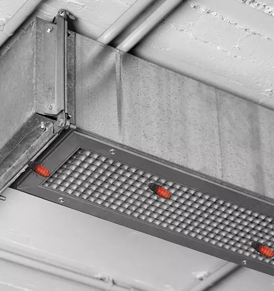 Affordable Insect Removal from Air Ducts in Castro Valley, CA