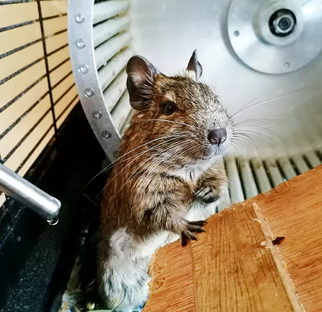 Why Homeowners & Businesses Trust Us Castro Valley, CA