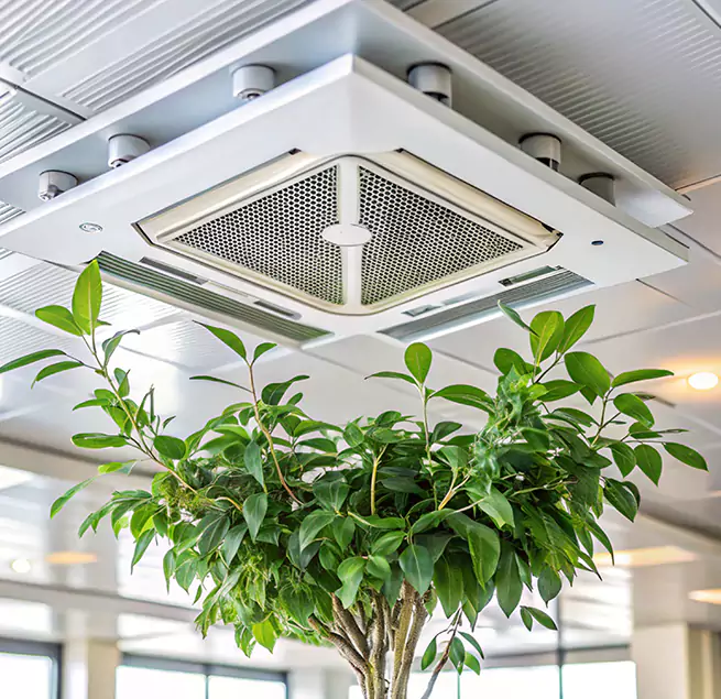 Why Homeowners & Businesses Trust Us in Castro Valley, CA