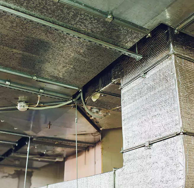 Why Homeowners & Businesses Trust Us in Castro Valley, CA?